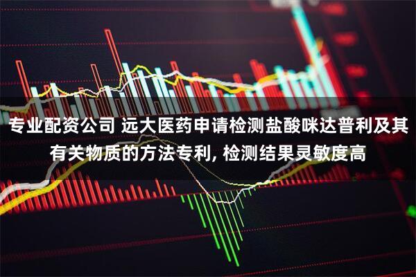 专业配资公司 远大医药申请检测盐酸咪达普利及其有关物质的方法专利, 检测结果灵敏度高
