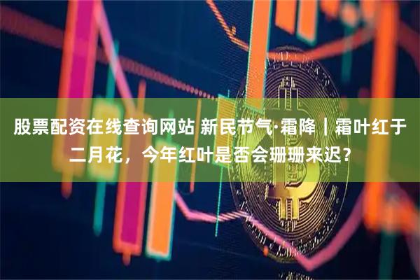 股票配资在线查询网站 新民节气·霜降｜霜叶红于二月花，今年红叶是否会珊珊来迟？